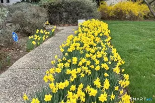 15 Very Merry Rd, Stamford, CT 06903 - Photo 6