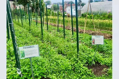 54 Fairgate Drive, Stamford, CT 06902 - Photo 14