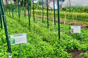 54 Fairgate Dr, Stamford, CT 06902 - Photo 14