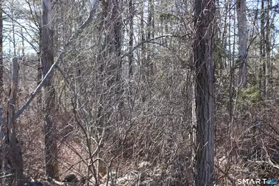 Ashley Drive, Goshen, CT 06756 - Photo 2