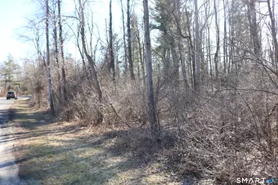 Ashley Drive, Goshen, CT 06756 - Photo 8