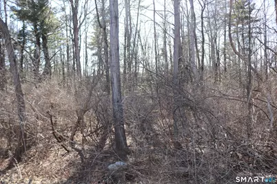 Ashley Drive, Goshen, CT 06756 - Photo 4