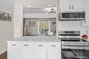 353 Green Rock, Shelton, CT 06484 - Photo 14