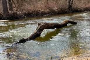 130 Paper Mill Rd, New Milford, CT 06776 - Photo 16