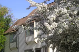 45 Pequot Dr, Rocky Hill, CT 06067 - Photo 30