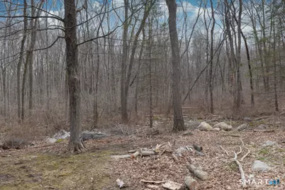 113 West High Street, East Hampton, CT 06424 - Photo 30