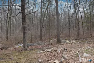 113 W High St, East Hampton, CT 06424 - Photo 30