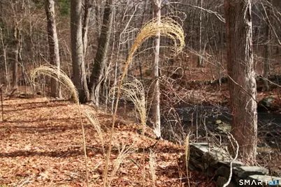 410 Tobacco Street, Lebanon, CT 06249 - Photo 14