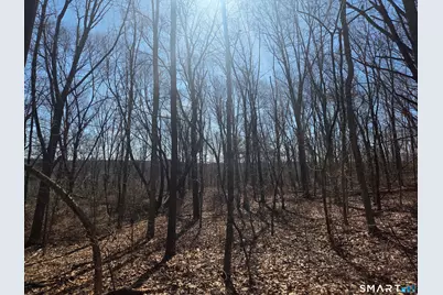 0 Green Hollow Road Road, Plainfield, CT 06354 - Photo 4