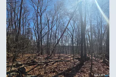 0 Green Hollow Road Road, Plainfield, CT 06354 - Photo 2