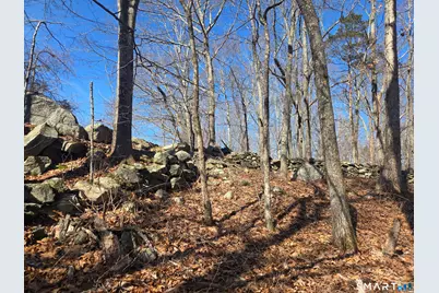 0 Green Hollow Road Road, Plainfield, CT 06354 - Photo 10