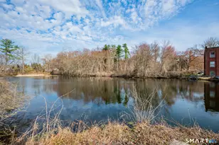 222 Williams St E, Glastonbury, CT 06033 - Photo 22