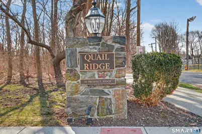 19 Prospect Ridge #41, Ridgefield, CT 06877 - Photo 2