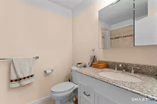 3 MacIntosh Ln, Ansonia, CT 06401 - Photo 26