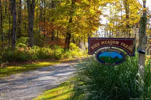 594 Skiff Mountain Rd, Kent, CT 06757 - Photo 6