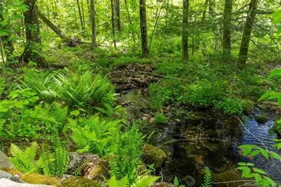 13 Dew Road, Barkhamsted, CT 06063 - Photo 6