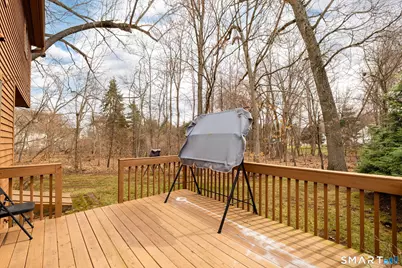 46 Macintosh Lane #46, Glastonbury, CT 06033 - Photo 34