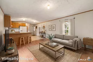 55 Mountainview Rd, East Hampton, CT 06424 - Photo 2