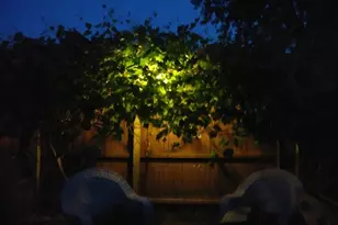 9 Warriner Ave, Enfield, CT 06082 - Photo 32