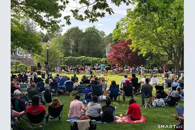 South Salem Road, Ridgefield, CT 06877 - Photo 8