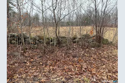 262 Hydeville Road, Stafford, CT 06076 - Photo 6