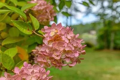 29 Crooked Trl Extension, Woodstock Valley, CT 06281 - Photo 30