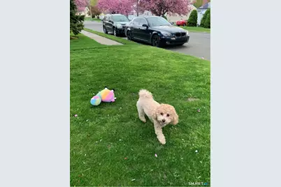 270 Andrew Street, Stratford, CT 06614 - Photo 38