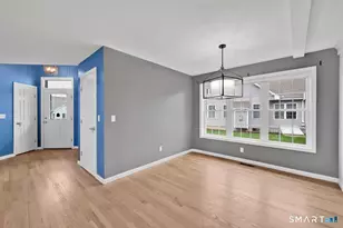 18 Adenas Walk, Glastonbury, CT 06033 - Photo 10