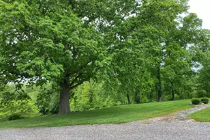 41 Old W Rd, East Haddam, CT 06423 - Photo 4