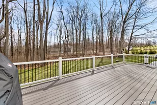 8 Holly Ln, Newtown, CT 06482 - Photo 28