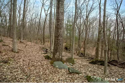 8 Chimney Hill Road, Sherman, CT 06784 - Photo 4