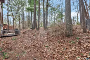 31 Woodduck Farms Rd, Windsor, CT 06095 - Photo 38