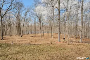 221 Clubhouse Rd, Lebanon, CT 06249 - Photo 26