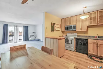 50 Balance Rock Road #16, Seymour, CT 06483 - Photo 4