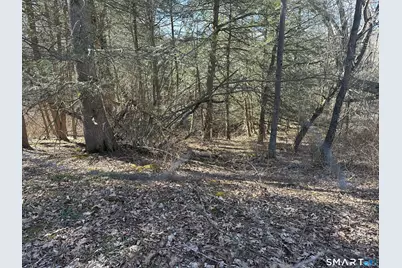 0 Newcomb Road, Litchfield, CT 06759 - Photo 2