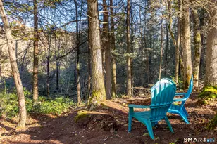 6 Kubish Rd, Litchfield, CT 06759 - Photo 28