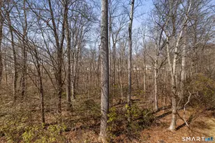 8 North Ridge, East Hampton, CT 06424 - Photo 6