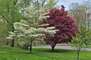 45 Crestwood Dr, East Hampton, CT 06424 - Photo 32