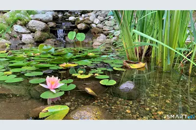 35 Hanson Road, Canton, CT 06019 - Photo 38