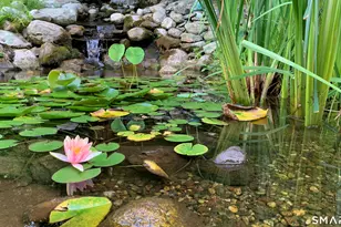 35 Hanson Rd, Canton, CT 06019 - Photo 38