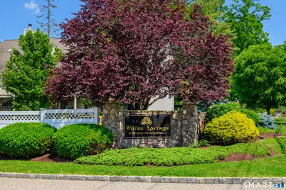 274 Willow Springs #274, New Milford, CT 06776 - Photo 1