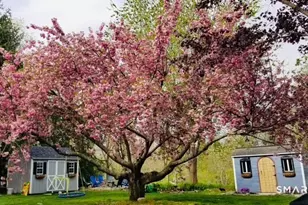 792 Wrights Crossing Rd, Pomfret, CT 06259 - Photo 10