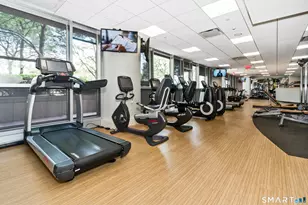 127 Greyrock Pl, Stamford, CT 06901 - Photo 16