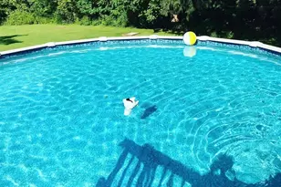 21 Weymouth Rd, Enfield, CT 06082 - Photo 40