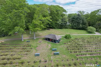 23 Schroback Road, Plymouth, CT 06782 - Photo 34