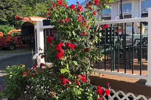 15 Oregon Ave, Hamden, CT 06514 - Photo 14