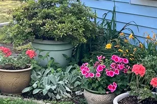 245 Alps Rd, Branford, CT 06405 - Photo 4