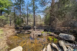 85 Lawton Rd, Canton, CT 06019 - Photo 36