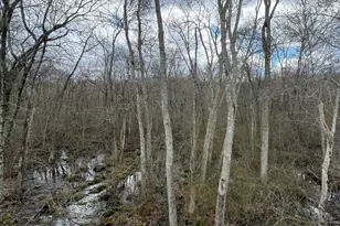 34 Rossi Ave, Stonington, CT 06379 - Photo 14