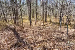 36 Olde Meadow Rd, Woodstock Valley, CT 06281 - Photo 10